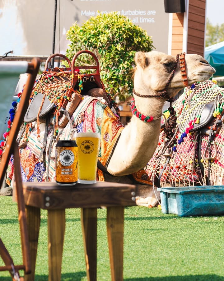 Featured image for “Family Fun: Camels, Kids, and Craft Beer at Spinifex Cable Beach”