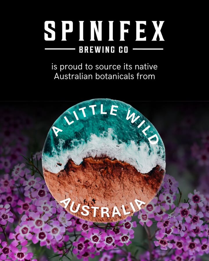 Featured image for “A Little Wild Australia Collaboration: Sustainable Indigenous Botanicals by Spinifex Brewery”