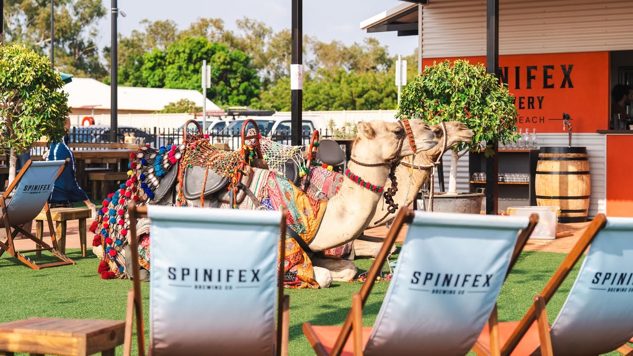 Featured image for “Win a VIP Camel Ride and Photography Package: Spinifex Pint Competition at Spinifex Cable Beach”
