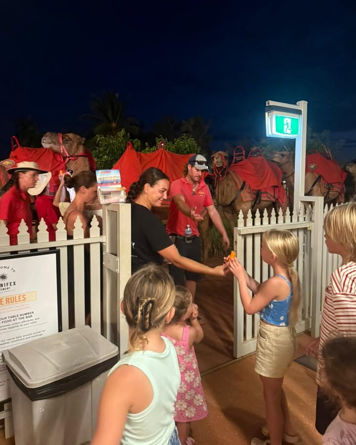 Featured image for “Feeding the Camels at Spinifex Cable Beach”